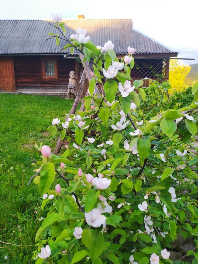 Starovitska Hata - Ethno-Cottage Verkhovyna Εξωτερικό φωτογραφία
